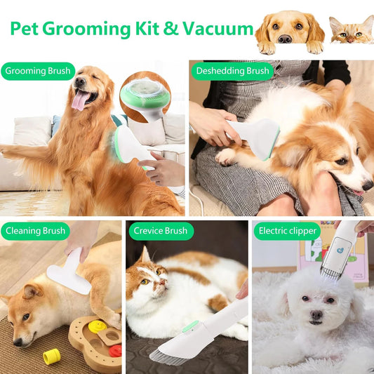 Pet Grooming Kit with 2L Vacuum Suction 99% Pet Hair