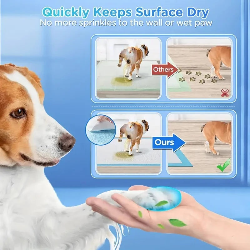 Dog Pee Pads