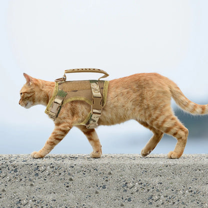 Cat Harness