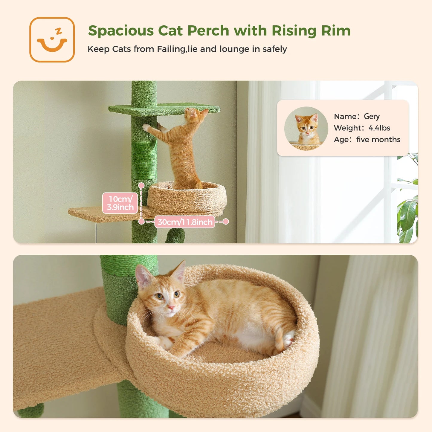 Adjustable Height Cactus Cat Tree Indoor